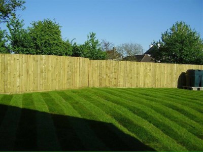 Fencing Somerset